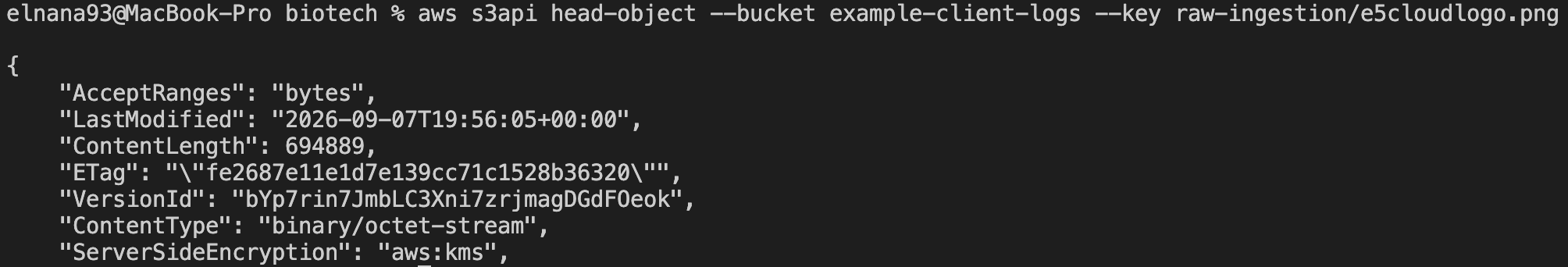 Object Integrity & Ingestion Verification Architecture