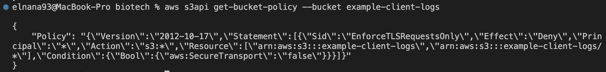 Data-in-Transit (TLS/HTTPS) Enforcement Output