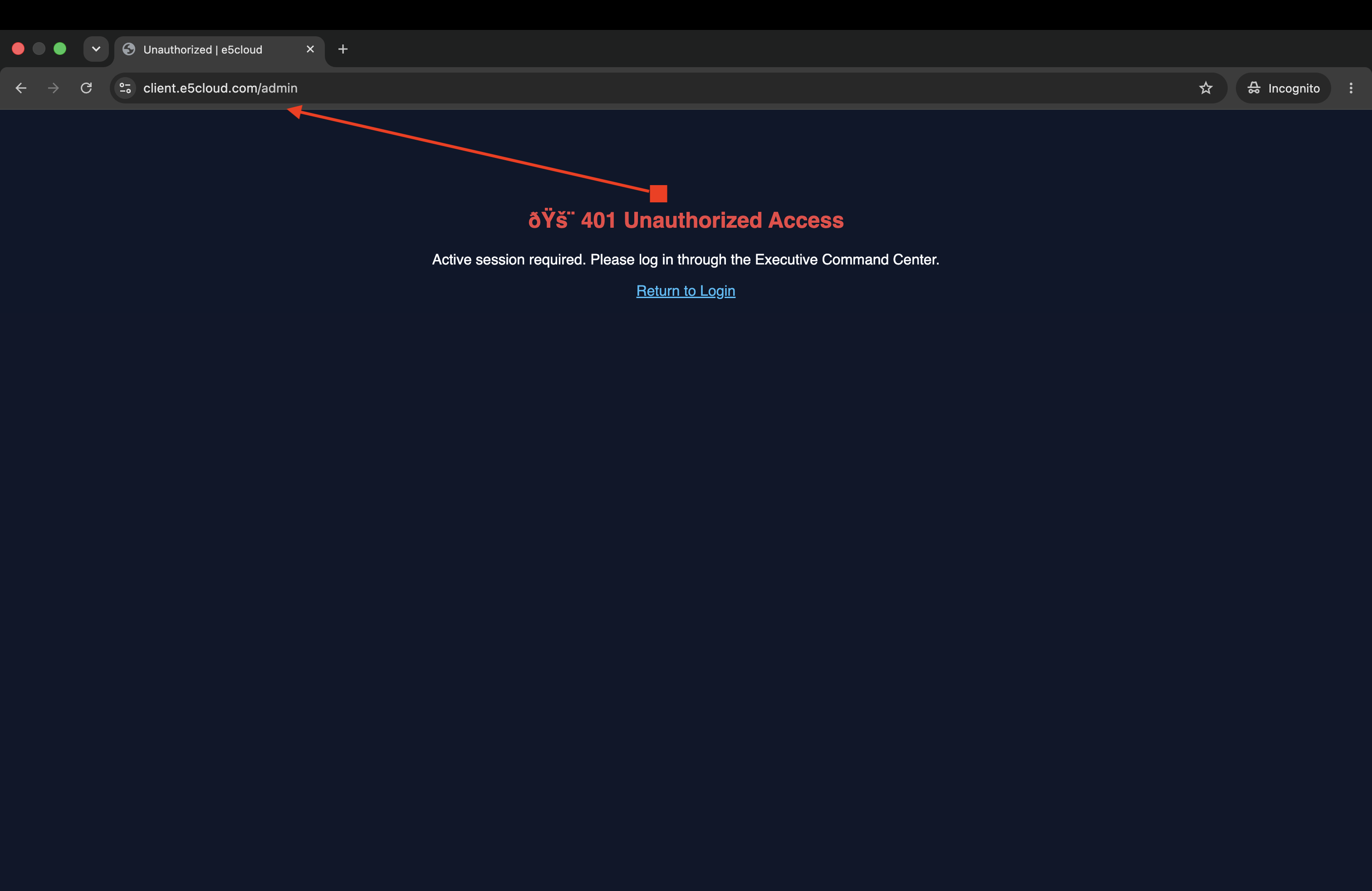 401 Unauthorized Admin Access