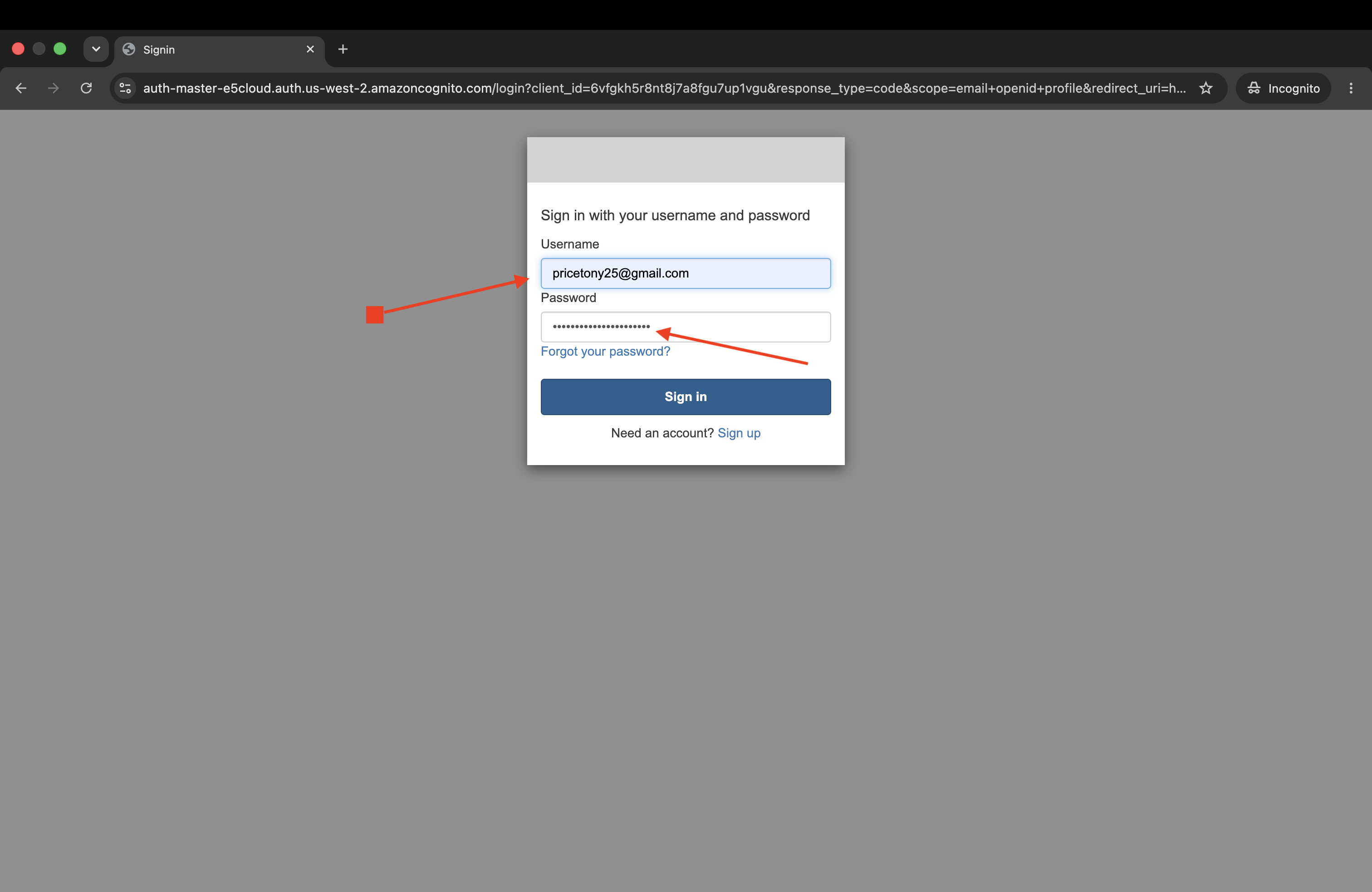 Amazon Cognito Sign-in View